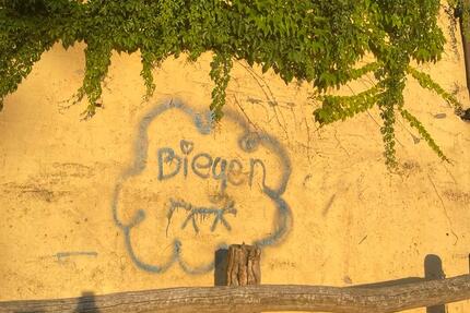 Wohnung Steinhöfel - 1 Zimmer, 8 m&sup2;, 350&euro; | Angebot:22485804