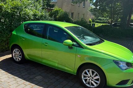 Seat Ibiza 203.100 km 3.900 &euro; Flensburg 24943