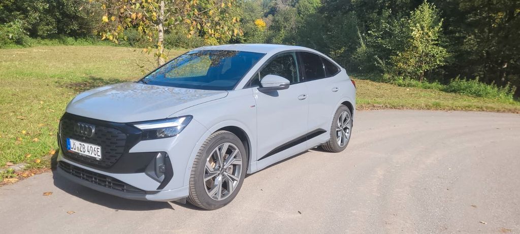 Audi Q4 e-tron 43.000 km 29.800 € Hausen im Wiesental 79688