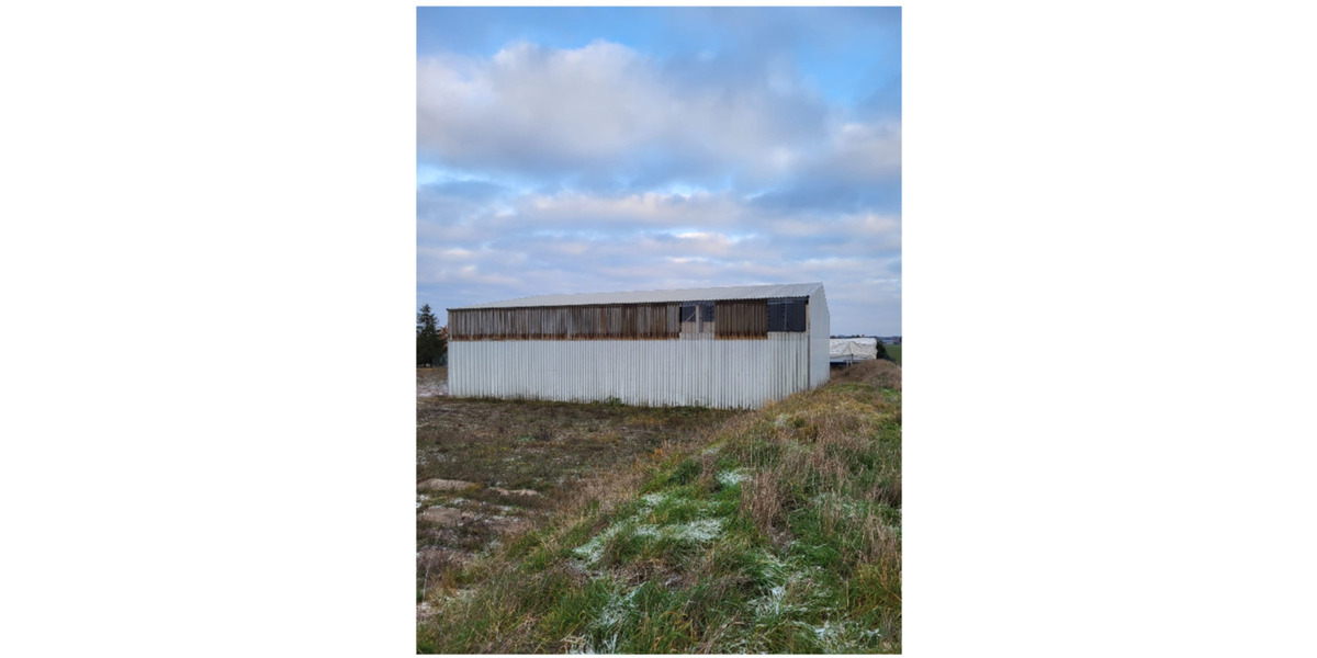 Gewerbeobjekt Seehausen (Altmark) - 800&euro; | Angebot:25126297