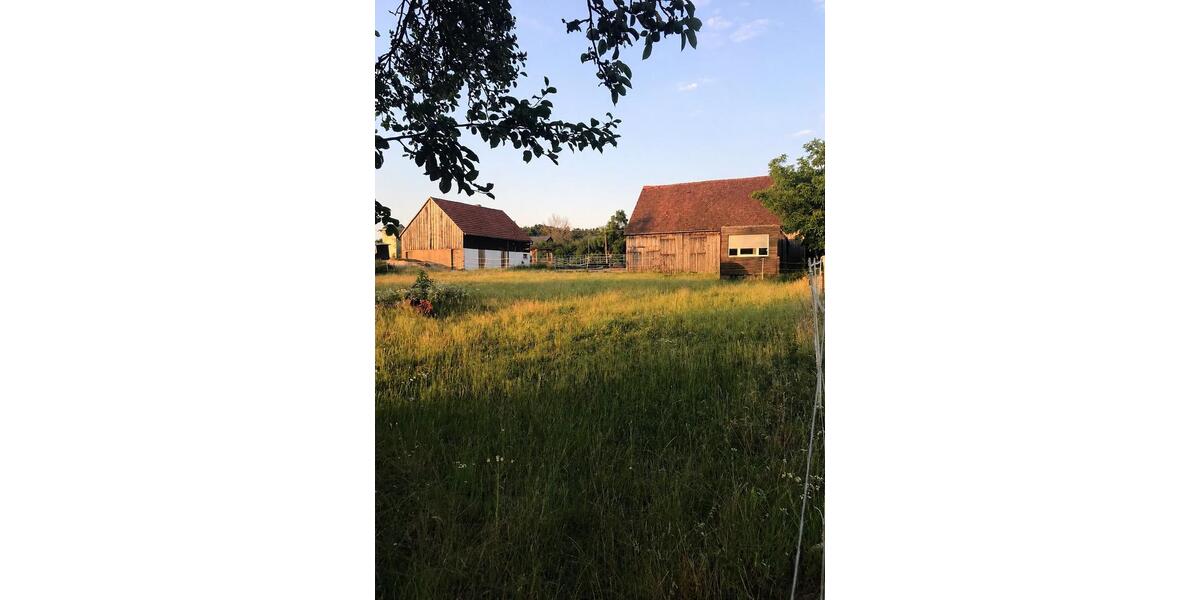 Einfamilienhaus Neumarkt in der Oberpfalz Altenhof - 250.000&euro; | Angebot:26965994