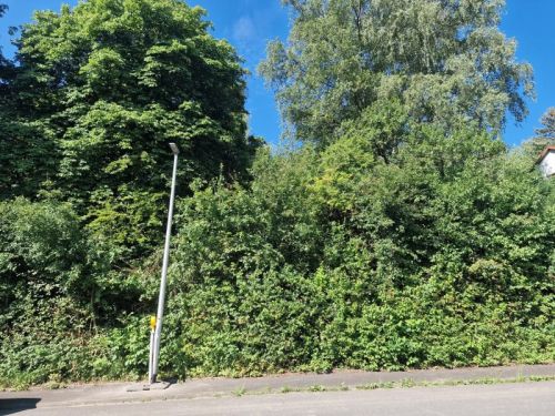Bauplatz mit herrlichem Ausblick in 97711 Maßbach, Leonhard-Schwarz-Strasse 17 (ID 10674) - Grundstück Maßbach Maßbach | Angebot:26656094