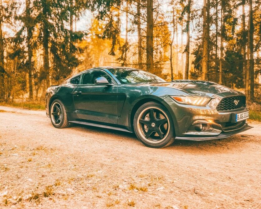 Mustang