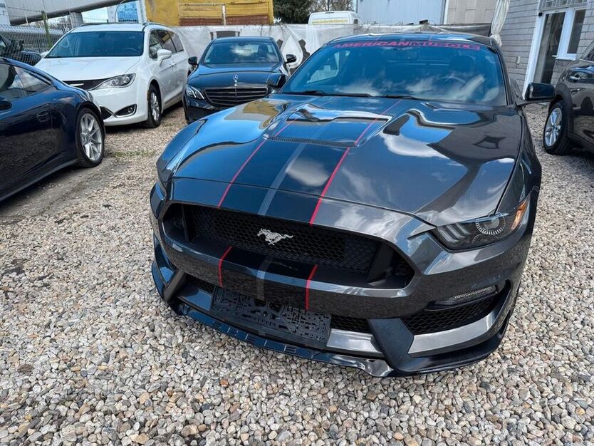 Mustang