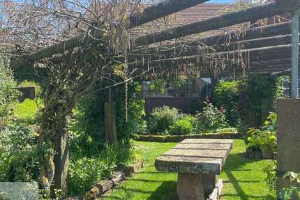 Haus zum Kaufen in Buchen (Odenwald) Hainstadt 775.000 € 300 m² 11 zimmer