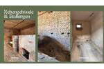 Einfamilienhaus Elsterheide OT Geierswalde Geierswalde - 5 Zimmer, 300 m&sup2;, 215.000&euro; | Angebot:26450338