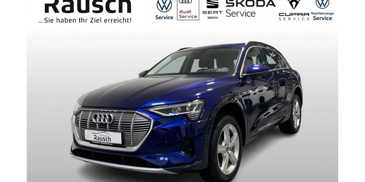 Audi e-tron 47.844 km 29.850 &euro; Lauterbach 36341