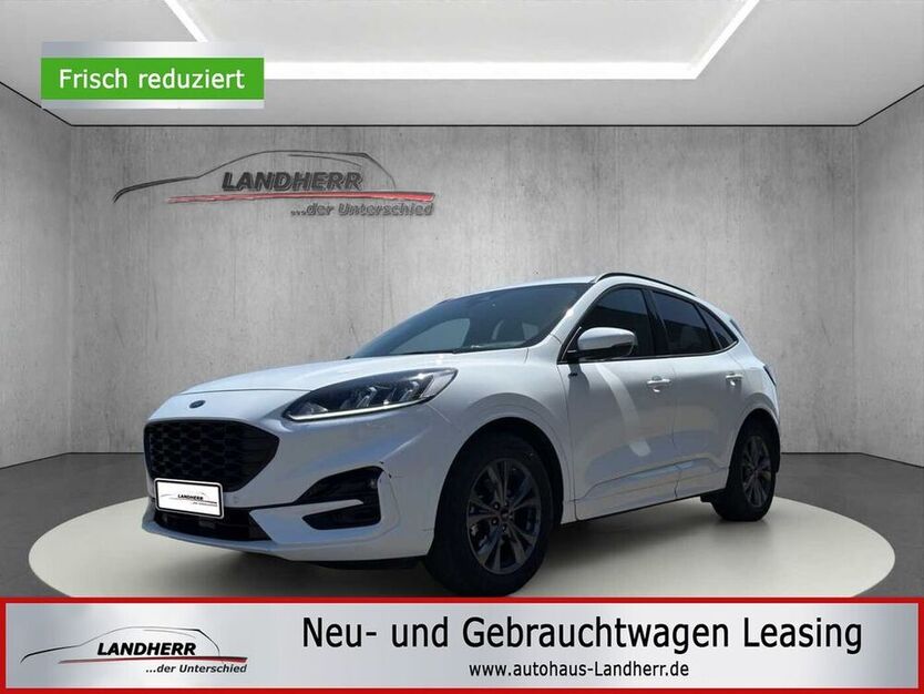 Kuga