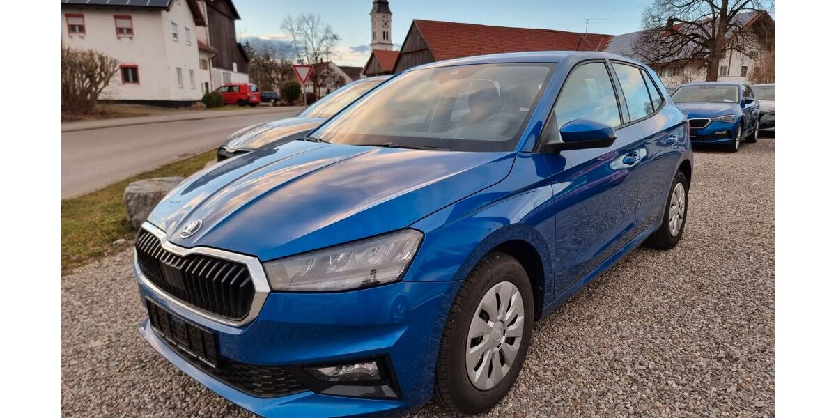 Skoda Fabia 12.700 km 16.880 &euro; Leinau 87666