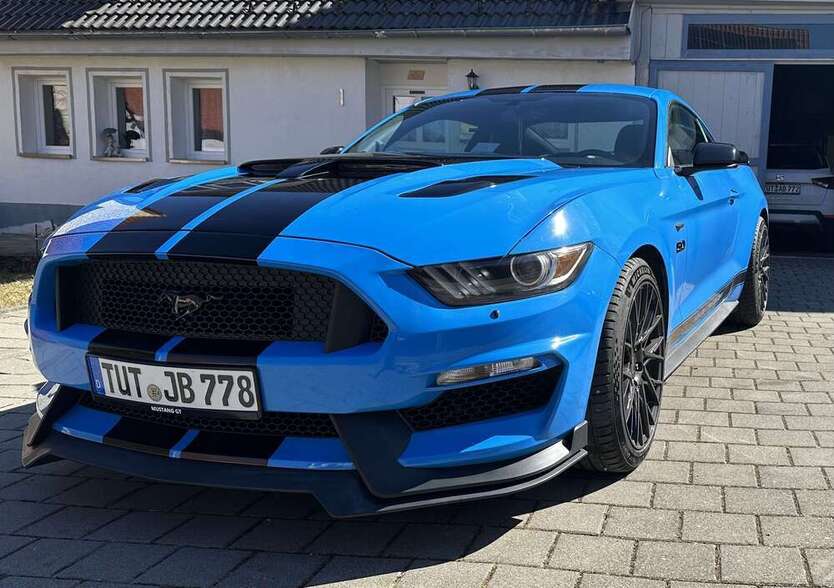 Mustang