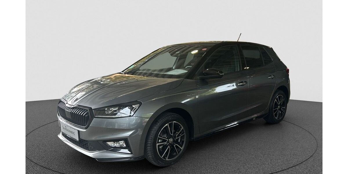 Skoda Fabia 19.000 km 22.290 &euro; Karlsruhe 76131