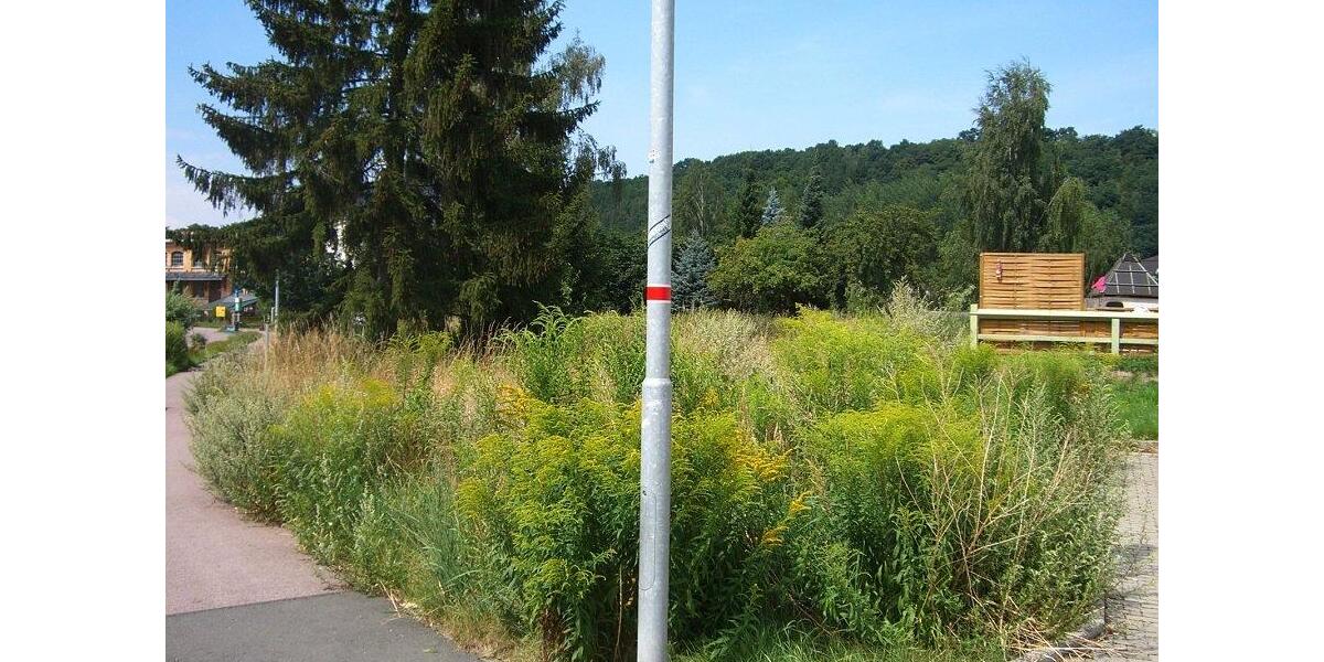 Gewerbeobjekt Nossen - 599&euro; | Angebot:26540839