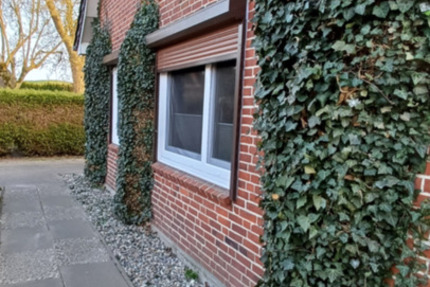 TOP Einfamilienhaus in Neufeld ab 01.04 zu vermieten 3 zimmer