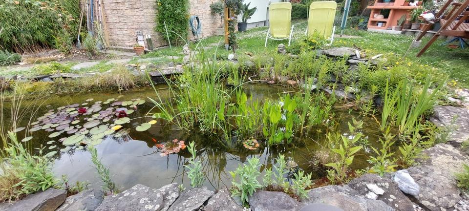 Doppelhaushälfte Jena Burgau - 450.000&euro; | Angebot:27163764