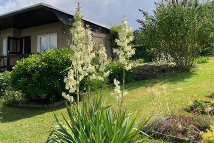 Grundstück Bockau - 2.500&euro; | Angebot:26329934