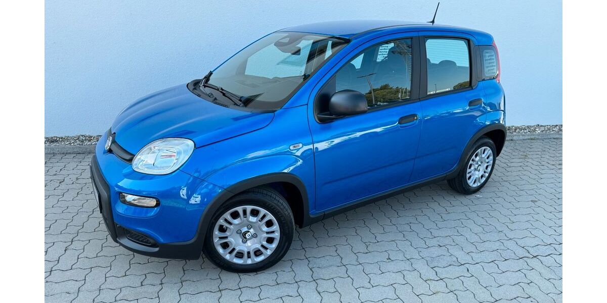 Fiat Panda 5.000 km 14.990 &euro; Kehl am Rhein 77694