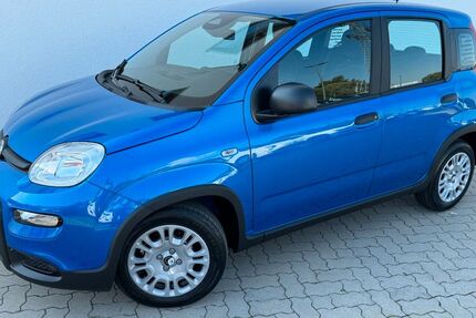 Fiat Panda 6.000 km 14.990 &euro; Kehl am Rhein 77694