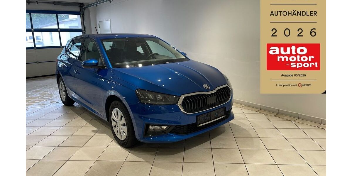 Skoda Fabia 20.350 km 17.399 &euro; Frohburg 04654