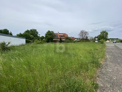 PERFEKTE LAGE FÜR IHR BAUPROJEKT - Grundstück Zierenberg | Angebot:26713669