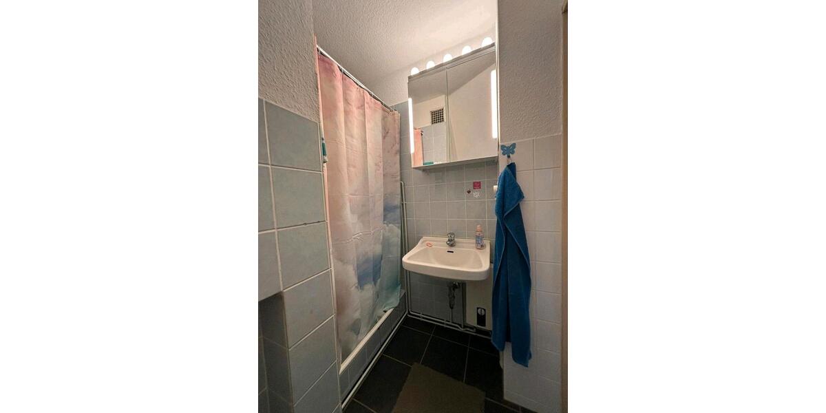 Dachgeschoßwohnung Hildesheim Itzum-Marienburg - 1 Zimmer, 32 m&sup2;, 250&euro; | Angebot:26413172