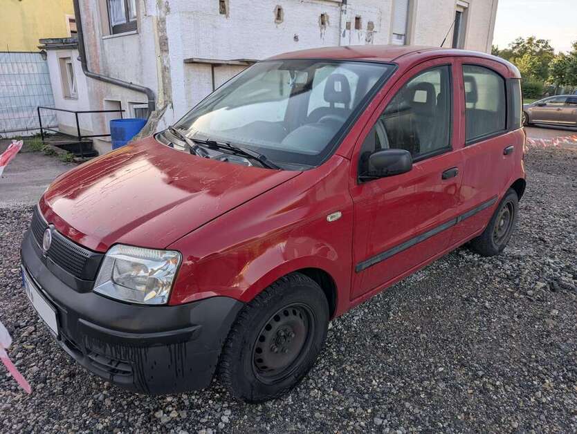 Panda