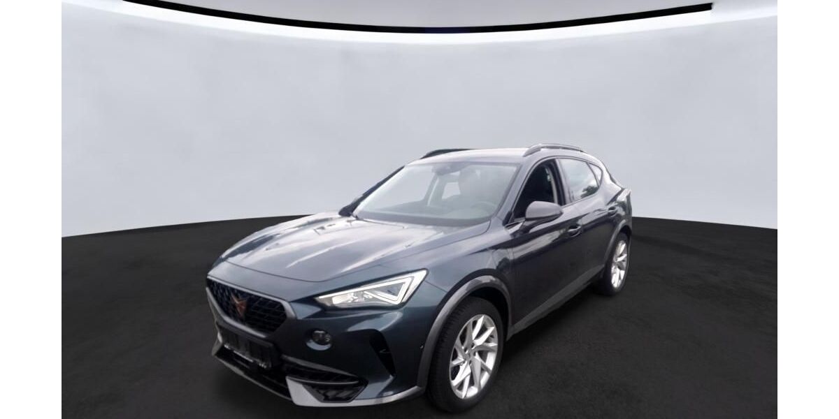 Cupra Formentor 132.586 km 18.990 &euro; Braunschweig 38122