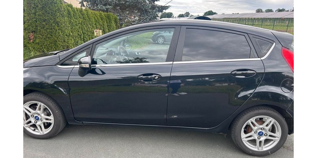 Ford Fiesta 195.435 km 4.100 &euro; Adorf 08626