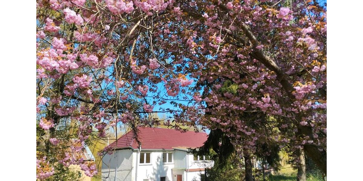 Einfamilienhaus Nossen - 6 Zimmer, 184 m&sup2;, 171.000&euro; | Angebot:26331355