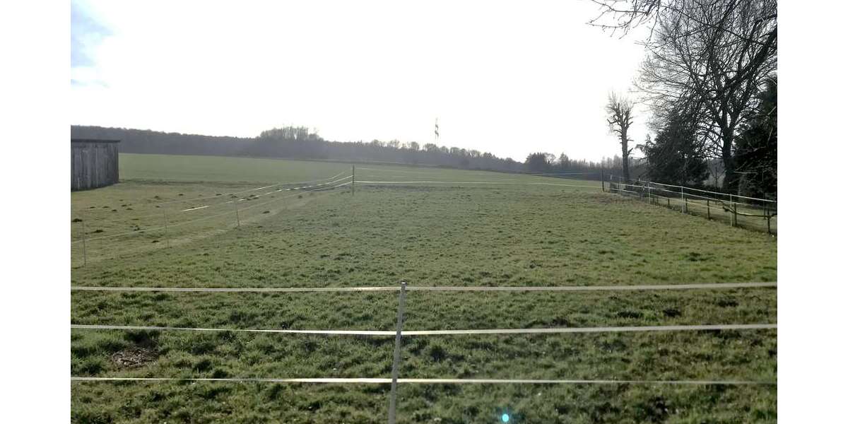 Grundstück Uslar-Schönhagen Schönhagen - 59.000&euro; | Angebot:26001520