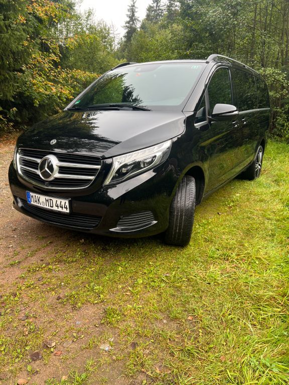 V 250