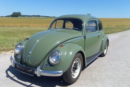 VW Käfer 65.746 km 36.000 &euro; Uttenweiler - Minderreuti 88524