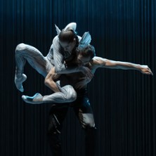 Schwanensee. Rotbarts Geschichte 28.03.2026 Staatsoper Hannover