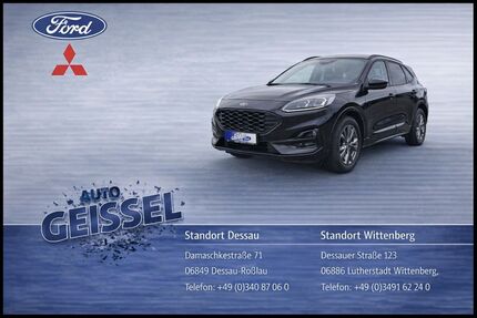 Ford Kuga 19.600 km 24.980 &euro; Dessau-Roßlau 06849