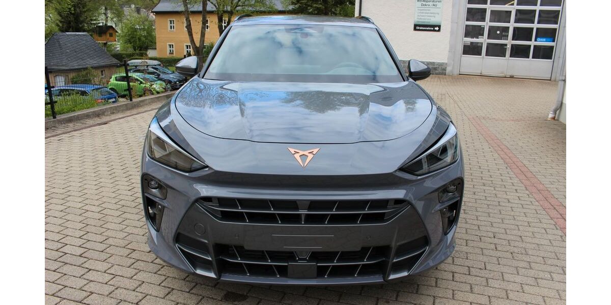 Cupra Terramar 8.900 km 30.990 &euro; Neuhausen 09544