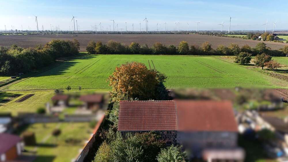 Selbstverwirklichung auf 2.619 qm großem Grundstück + im Umkreis von Halle (Saale) 3 zimmer