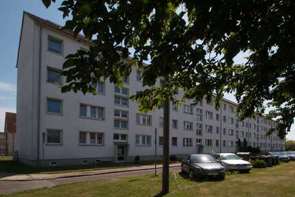 Wohnung zum Mieten in Gardelegen 320 € 56.61 m² 3 zimmer