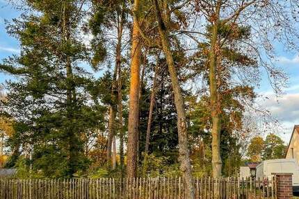 Grundstück Rangsdorf - 355.000&euro; | Angebot:25475462