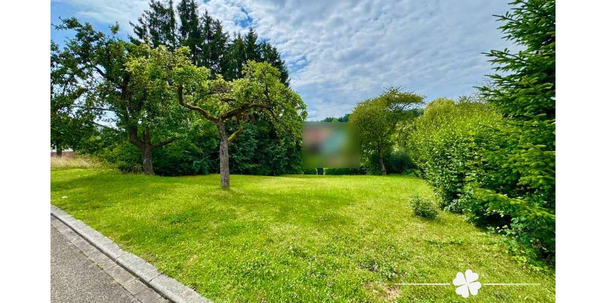 Grundstück Freudenberg / Rauenberg Rauenberg - 60.000&euro; | Angebot:22736787