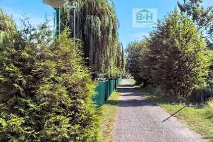 Grundstück Bitterfeld Holzweißig - 39.900&euro; | Angebot:19567967