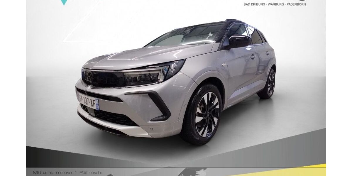 Opel Grandland (X) 12.112 km 24.980 &euro; Bad Driburg 33014