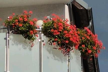 Wohnung Wusterwitz - 3 Zimmer, 67 m&sup2;, 180.000&euro; | Angebot:25634564