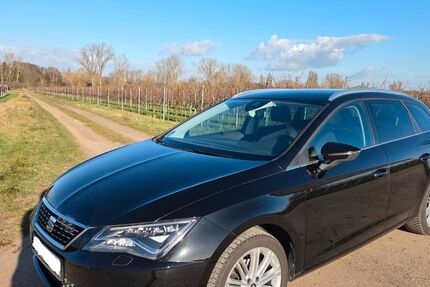 Seat Leon 49.000 km 15.899 &euro; Altdorf (Deutschland) 67482