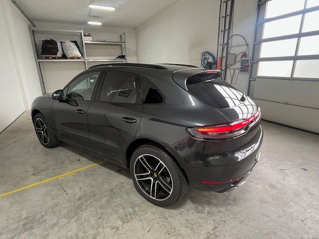 Macan
