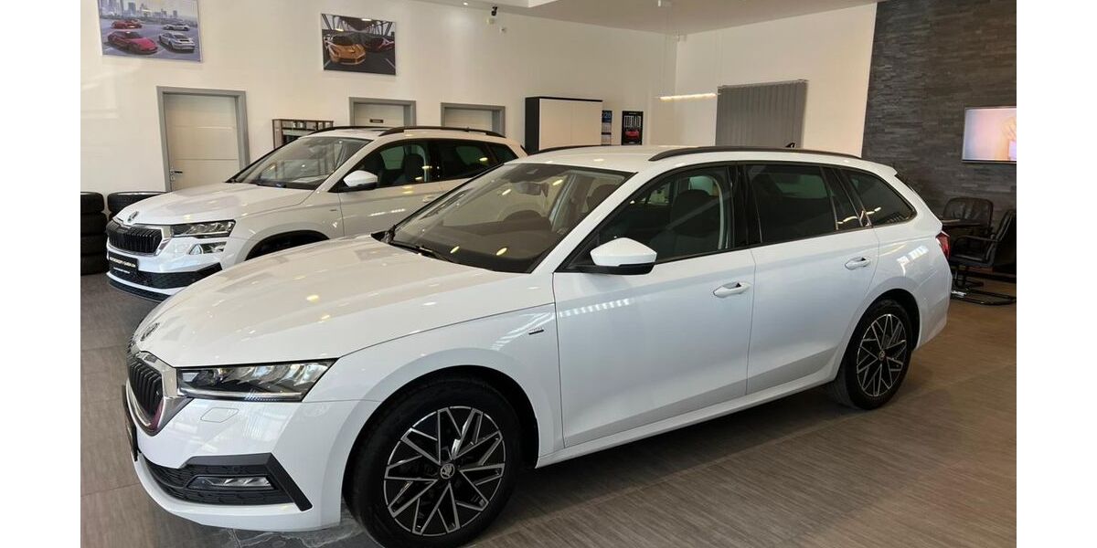 Skoda Octavia 183.712 km 15.985 &euro; Volkmarsen 34471