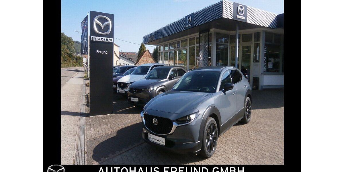 Mazda CX-30 2.420 km 27.790 &euro; Fischbach bei Dahn 66996