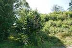 INVESTOREN: BAU EINES MEHRFAMILIENHAUS ODER 2 DHH - Grundstück Regenstauf | Angebot:27365659