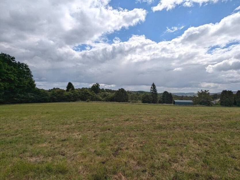 12.942 m² Gewerbegrundstücke in Bergisch Gladbach-Moitzfeld