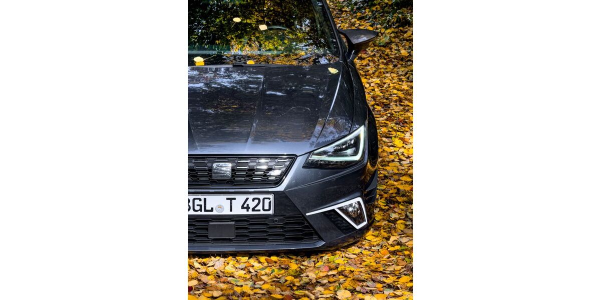 Seat Ibiza 146.000 km 11.499 &euro; Neukirchen am Teisenberg 83364