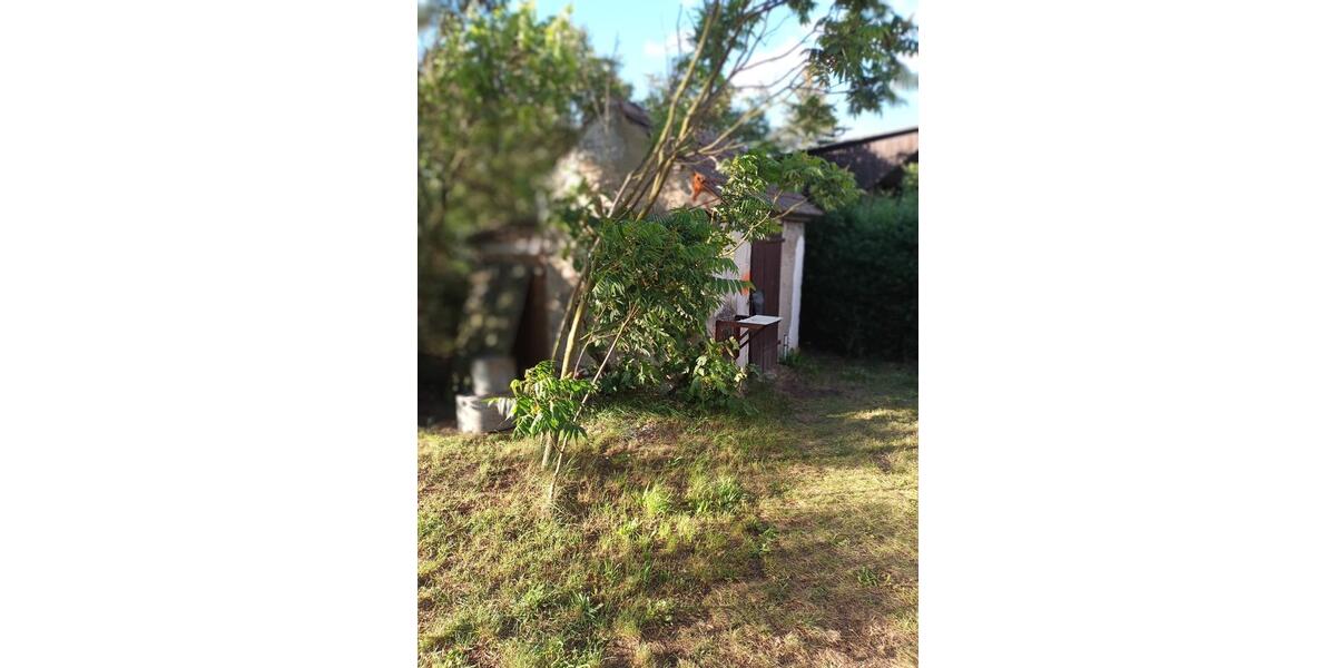 Bungalow Uebigau-Wahrenbrück Wahrenbrück - 2 Zimmer, 30 m&sup2;, 15.000&euro; | Angebot:26522678