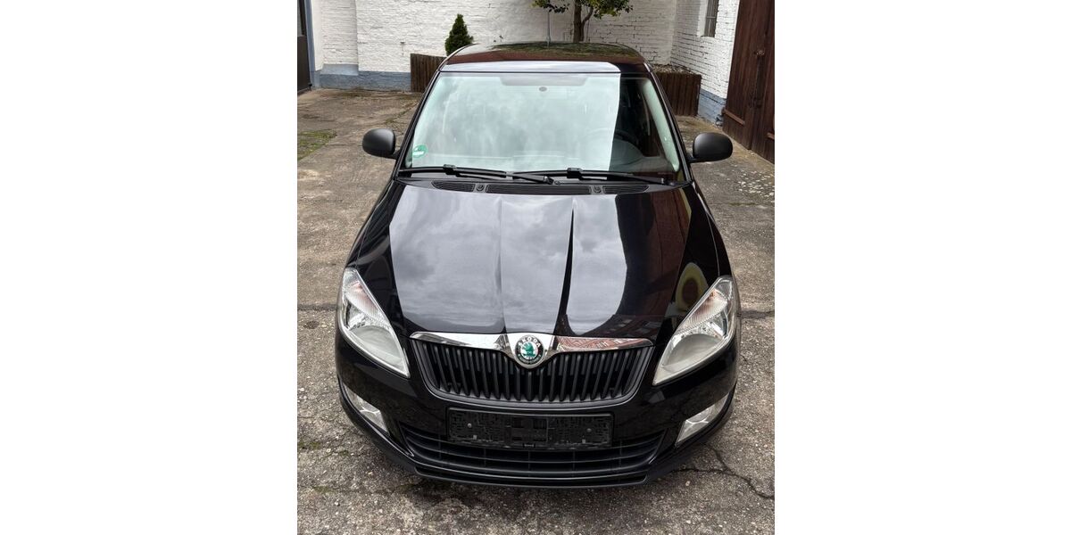 Skoda Fabia 195.917 km 4.490 &euro; Burg 39288